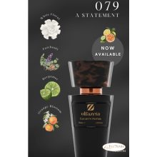 UNISEX PARFÜM- CHOGAN OLFAZETA 379 - 30 ml 