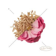 ESSENS NŐI PARFÜM  W198-50 ml  (Valentino Voce Vica  illatjegyeivel)