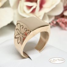 Nemes acél férfi pecsét gyűrű - Hans