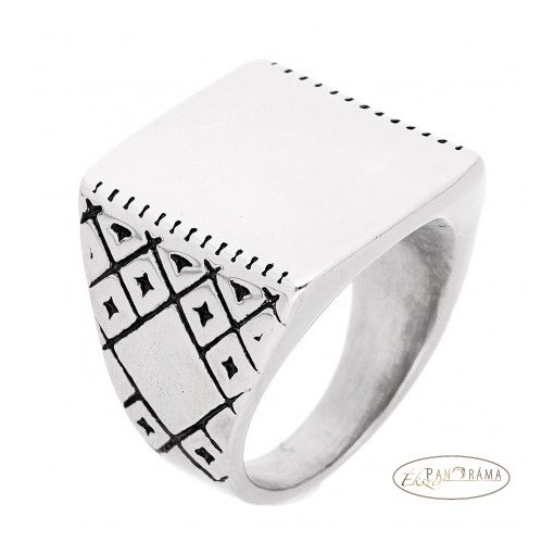 Nemes acél férfi pecsét gyűrű - Ludvig