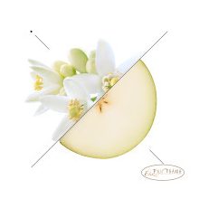 ESSENS NŐI PARFÜM  W195 - 50 ml (Prada Paradox  illatjegyeivel)