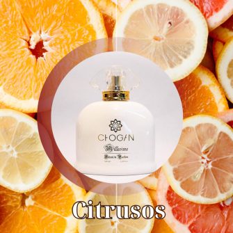 CITRUSOS-FRISS