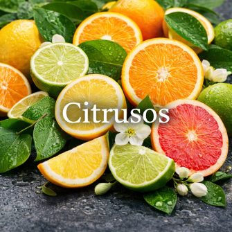 Citrusos illatok